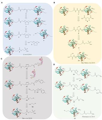 Strategies to Target Specific Components of the Ubiquitin Conjugation/Deconjugation Machinery